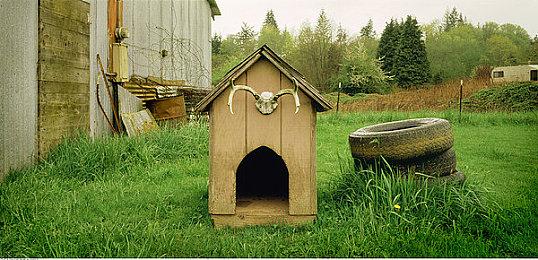  自动化与殖民模拟游戏《黎明时分》 今日于Steam开启抢先体验！